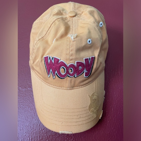 Other - Vintage Woody Woodpecker Baseball Hat